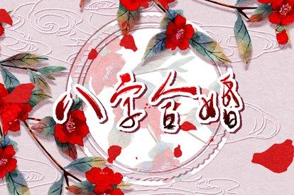 数字化感情参考的用法